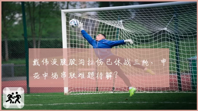戴伟浚腹股沟拉伤已休战三轮，申花中场串联难题待解？